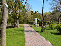 Территория парка, прилегающая к хостелу «Малибу», Евпатория, фото 4