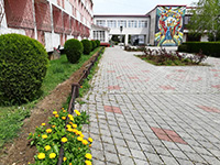 Санаторий пансионат ОЛЦ «Северный», Евпатория, Заозерное, фото 9